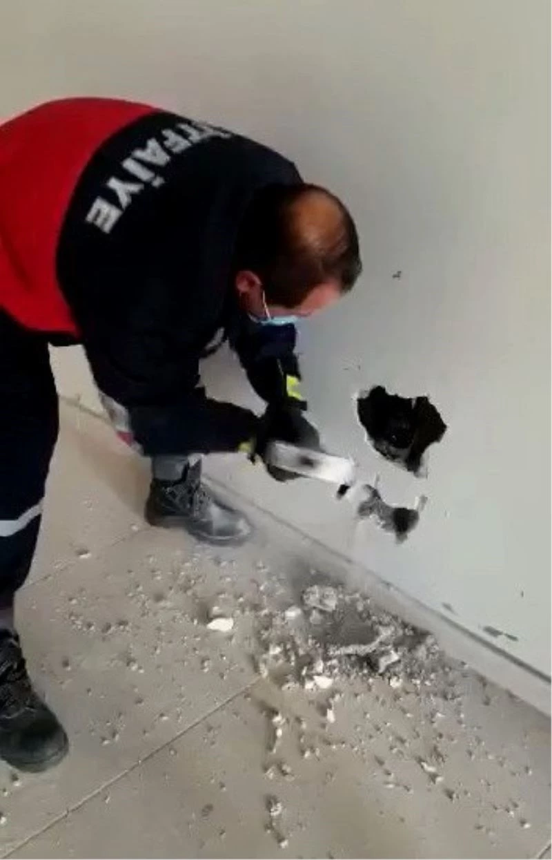 Köpek, duvar kırılarak sıkıştığı yerden çıkartıldı
