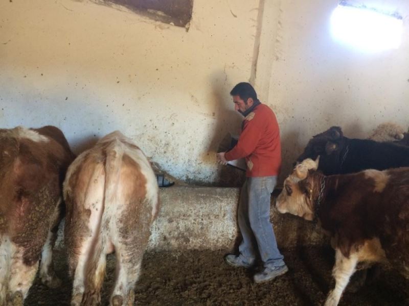 Çiftçiler girdi maliyetlerinin düşmesini bekliyor
