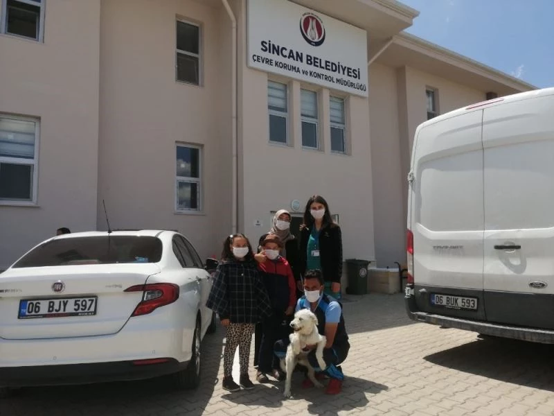 Sincan Belediyesi bu yıl 275 can dostunu sahiplendirdi
