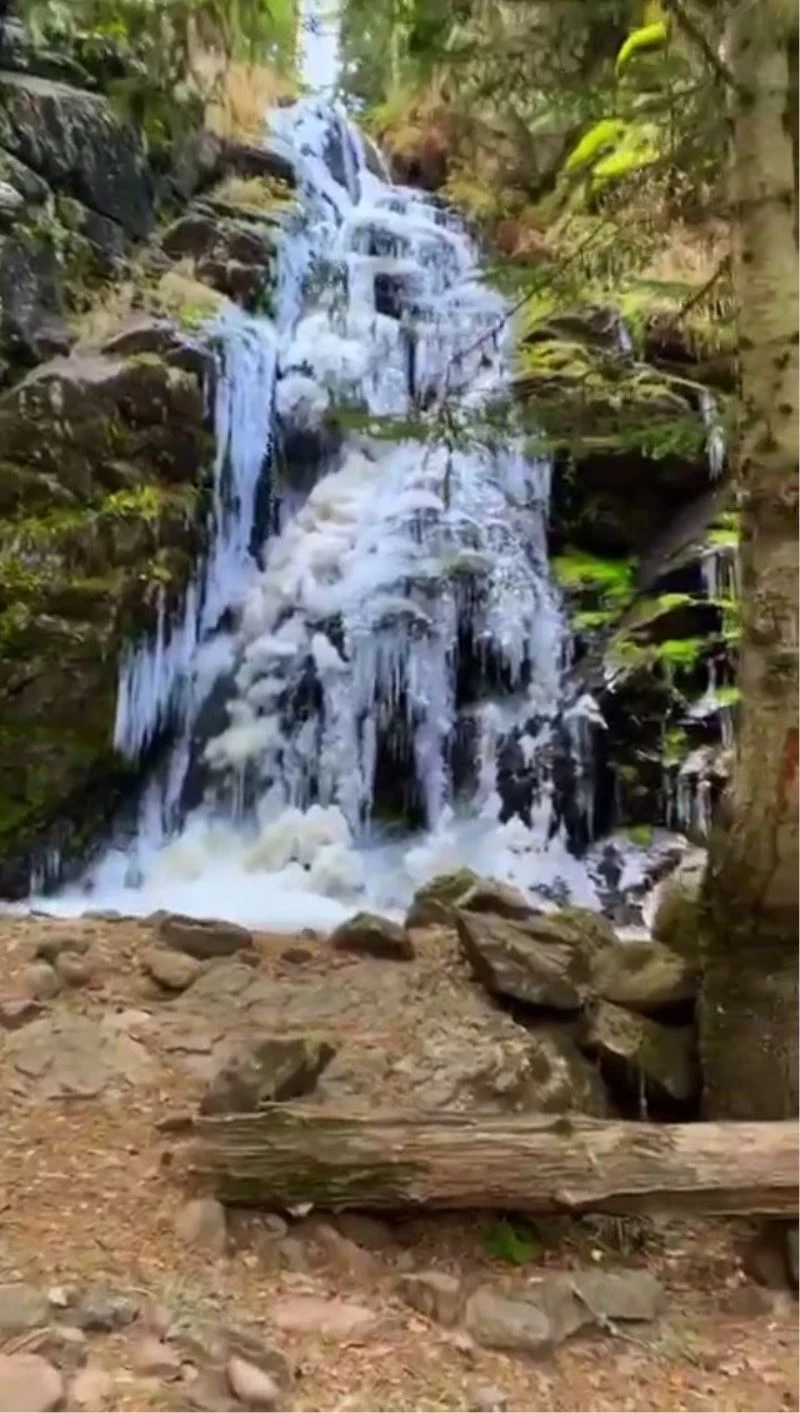 Bolu Köroğlu Dağları’ndaki şelale ve dereler dondu
