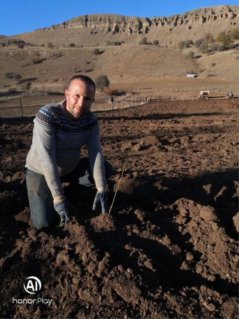 Alucra’ya 6 adet meyve bahçesi kuruluyor
