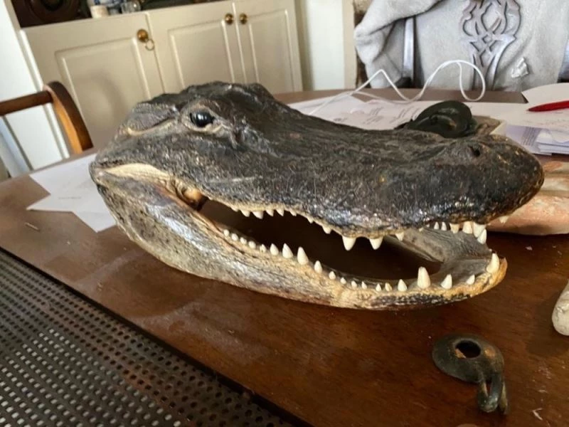 İstanbul’da düzenlenen operasyonda 658 parça tarihi eser ele geçirildi
