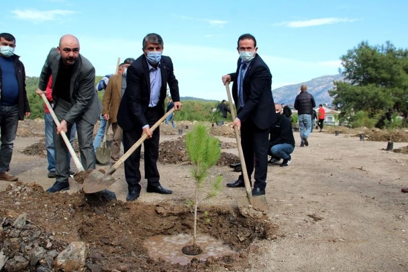 Fethiyeli Ülkücüler, Alparslan Türkeş anısına fidan dikti
