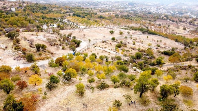 Tut’ta yayla evleri için ayrılan parsellerde talep patlaması yaşanıyor
