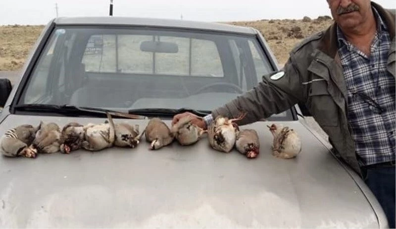 Kınalı keklikleri avlayan 5 şahıs yakalandı
