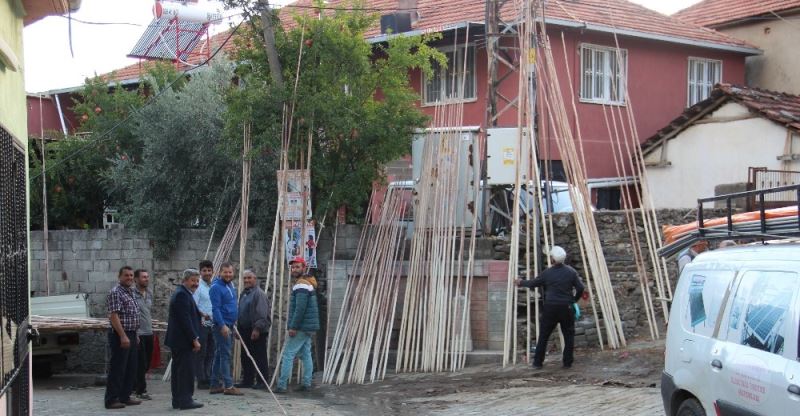 Aydın’da ’zeytin sırıkları’ teknolojiye karşı direniyor
