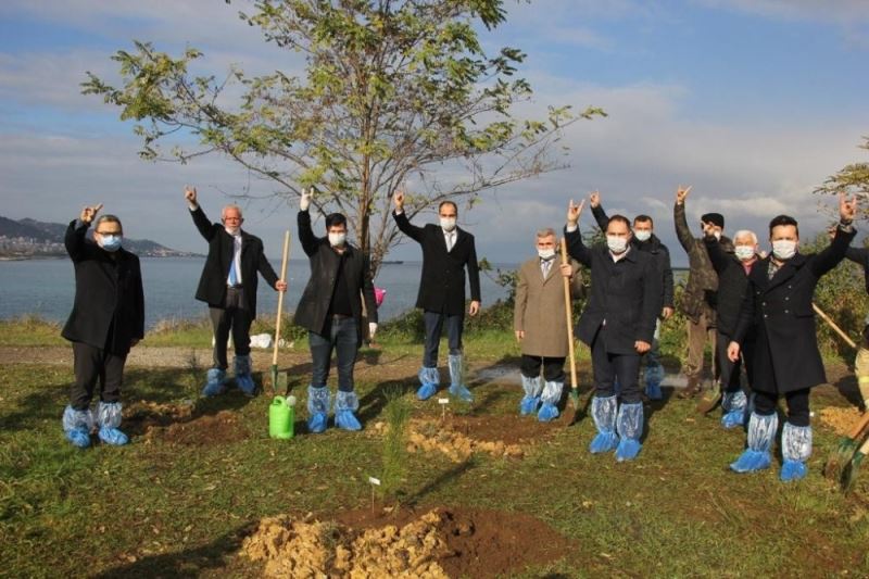 Giresunlu Ülkücüler, Alparslan Türkeş’in anısına fidan dikti
