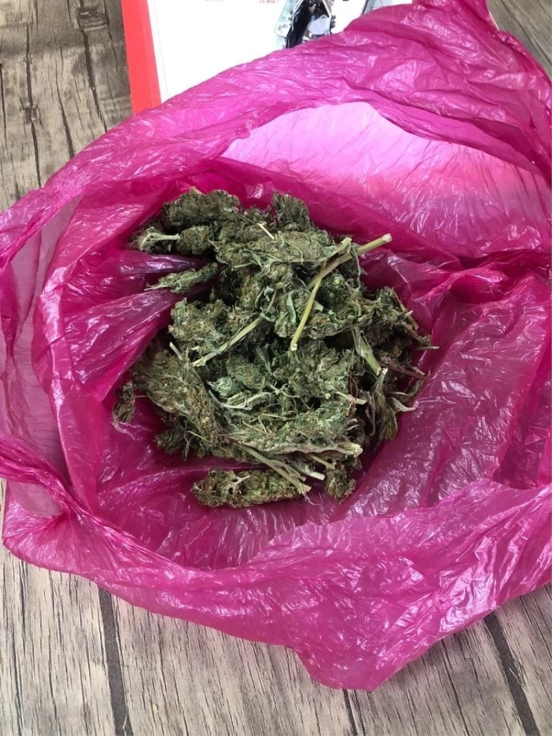 Narkotik köpeği tepki verdi, yolcudan uyuşturucu ele geçirildi
