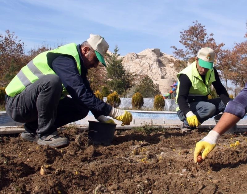 Van Büyükşehir Belediyesi 110 bin lale ve sümbül soğanı dikti
