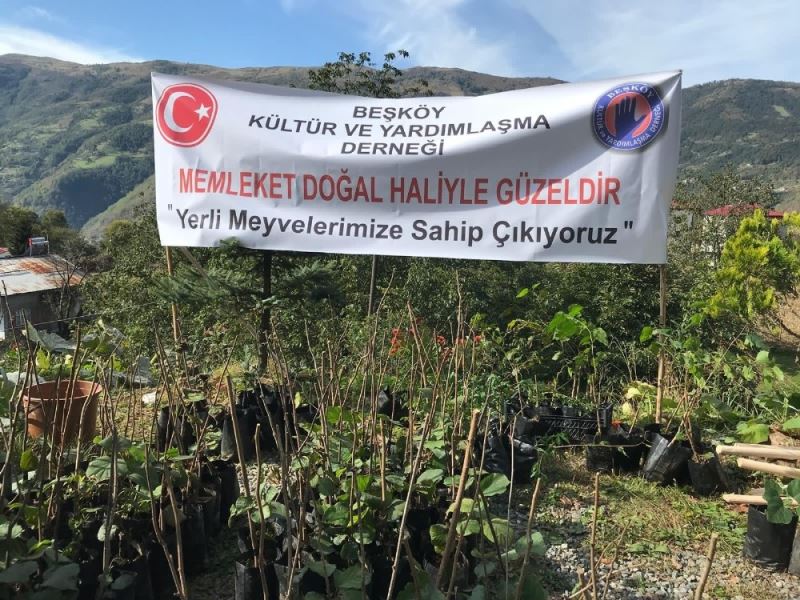 “Memleket Doğal Haliyle Güzeldir” projesiyle 5 bin kök meyve diktiler
