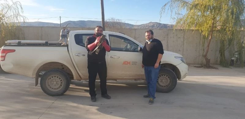 Dikkatli sürücü yaralı şahinin hayatını kurtardı
