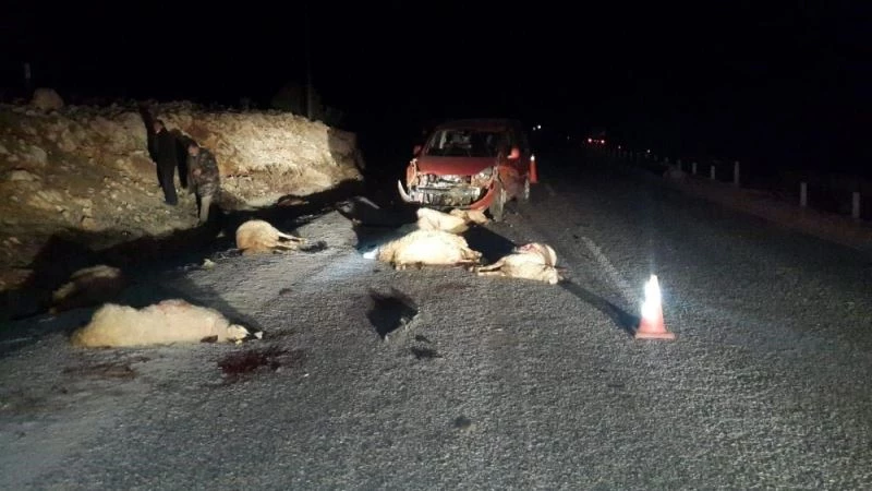 Kamyonet koyun sürüsünün içine daldı ardından facia yaşandı
