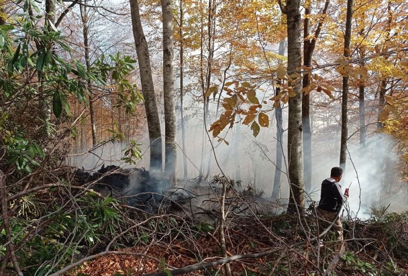 Düzce’de orman yangını 3 saatte söndürüldü
