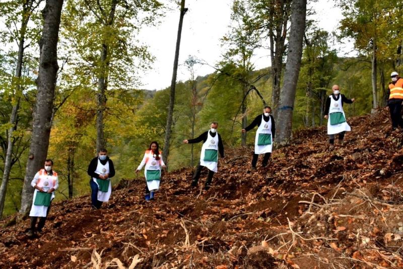 Amasya OBM verimsiz orman sahalarını ağaçlandırıyor
