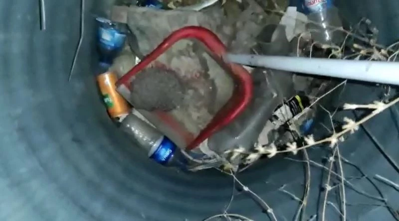 Çukura düşen kirpiyi esnaf kurtardı
