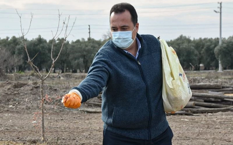 Akhisar’da Ata tohumu ’Karakılçık’ buğdayı toprakla buluştu
