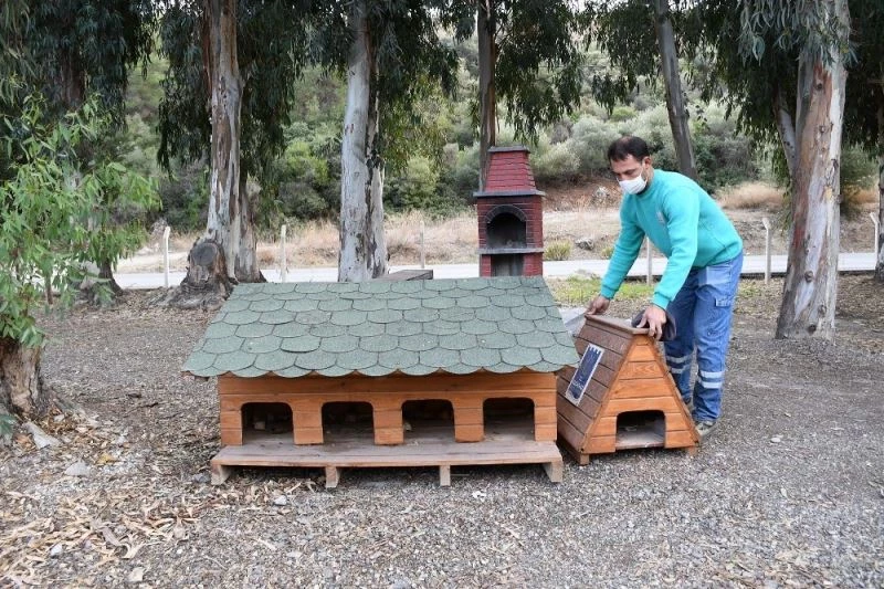 Kuşadası’nda sokak hayvanlarının yuvaları kışa hazır
