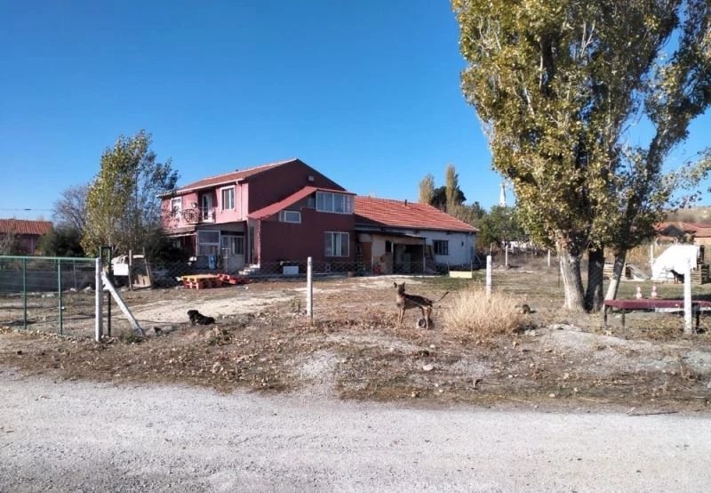 Ruhsatsız işletilen köpek eğitim merkezine baskın
