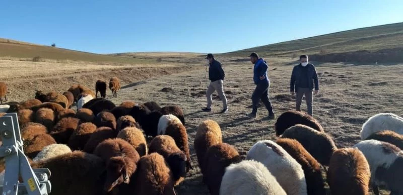 “Köyümde Yaşamak İçin Bir Sürü Nedenim Var” projesiyle işçi olmaktansa işveren oldu
