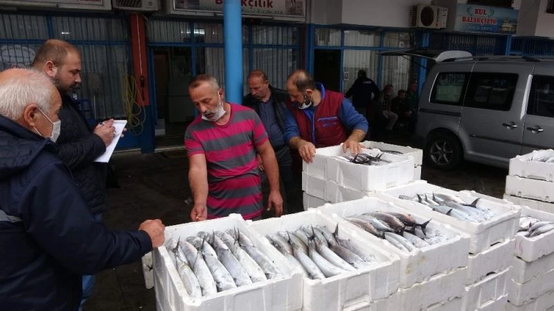 Büyük tekneler hamsi için Hopa açıklarına gidince palamut kıyı balıkçılarına kaldı
