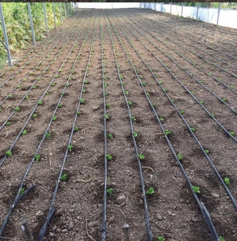 Tavşanlı çiftçisi, destekler konusunda bilgilendirildi
