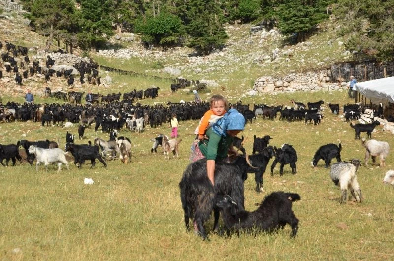 Antalya’da Yörüklerin yayladan dönüşü başladı
