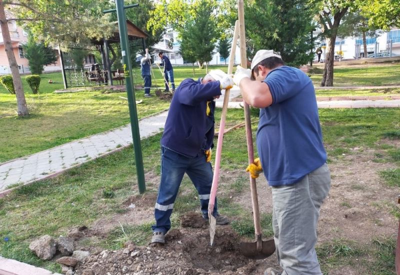 Keçiören’in parkları kış çiçekleri ile donatıldı
