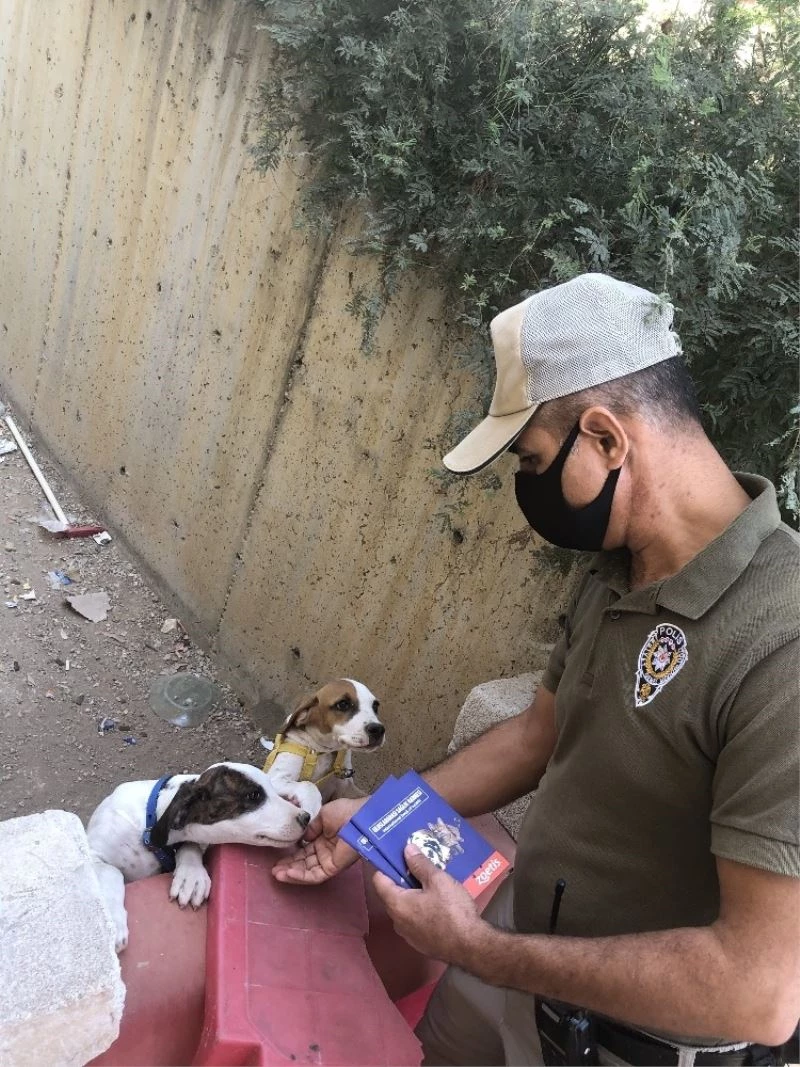 Pitbull sahiplerine 28 bin 686 lira para cezası
