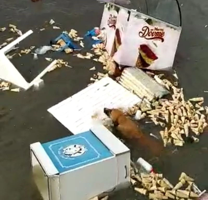 (Özel) İzmir’de tsunamide hayatta kalmaya çalışan köpeğin o anları kameralara yansıdı
