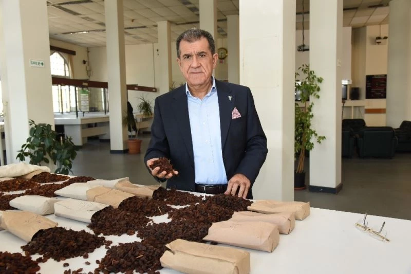 Kuru meyvede işletmeleri, üretimde yalın tekniklere odaklanacak
