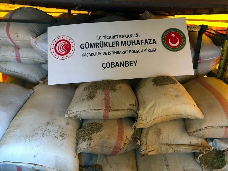 Kimyon dendi bitkisel ürün çıktı
