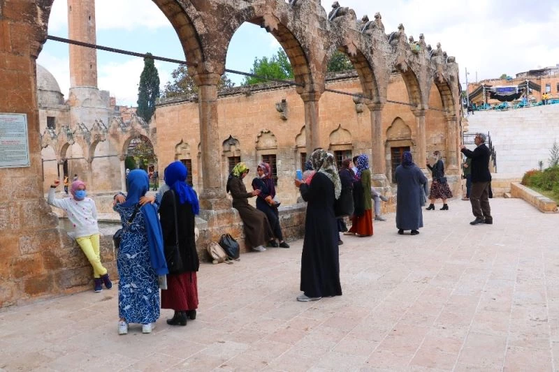 Şanlıurfalılar güneşli havada Balıklıgöl’e akın etti
