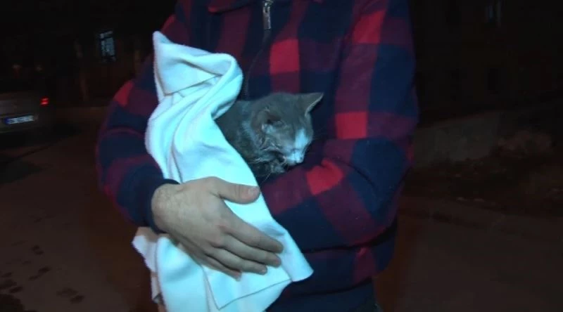 Ankara’da faciayı kedinin çıkardığı sesler engelledi
