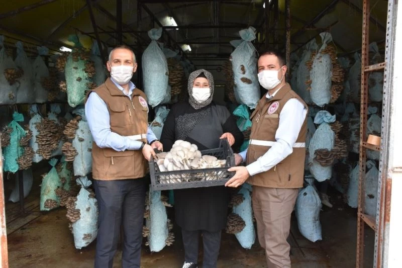 Genç Çiftçi Projesinden destek aldı kendi işinin sahibi oldu
