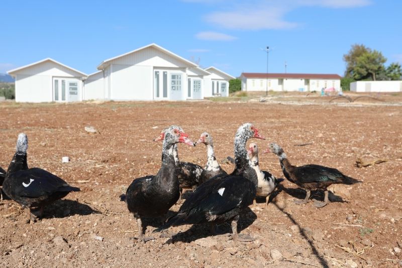 Mezitli Belediyesinin ‘Mutlu Yaşam Köyü’ projesinde sona gelindi
