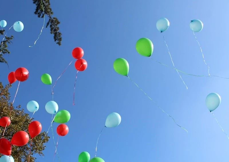 Gürcistan’da Azerbaycan’ın Bayrak Günü ve Şuşa’nın işgalden kurtarılması kutlandı
