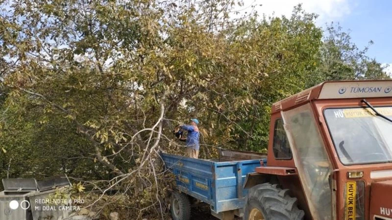 Hüyük’te sürücülerin görüşünü engelleyen ağaçlar budanıyor
