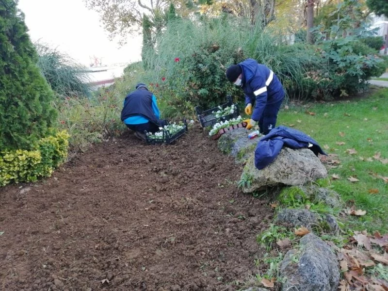 3 ilçenin ağaçları kış bakımına alındı
