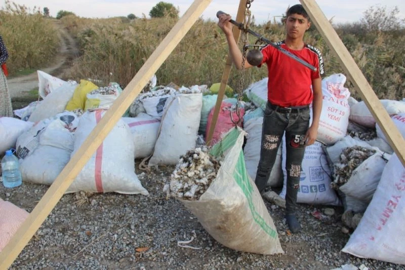 Pamuk kıymete binince, makineden arta kalanlar da toplanmaya başladı
