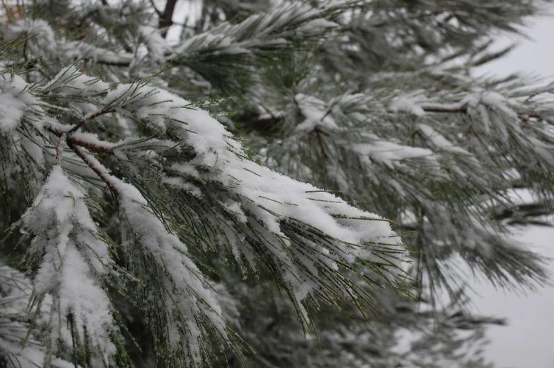 Korudağ’a düşen kar kışı müjdeledi
