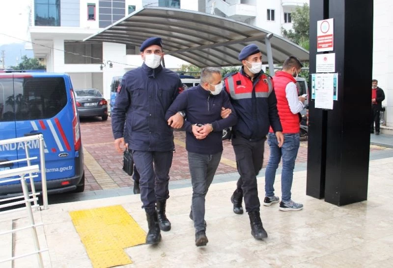 Bahçelerden iki ayda 260 bin TL değerinde avokado çaldı,  son işinde yakalandı
