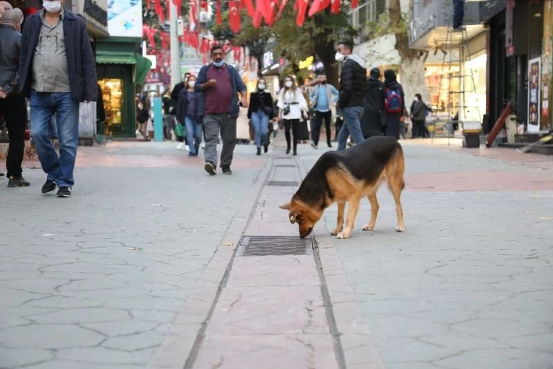 Kocaeli’de merkezinde iki caddeye girişlere sınırlama getirildi

