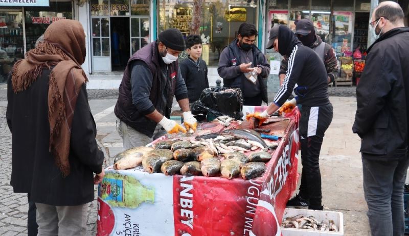 Fırat’ın balıkları geçim kaynağı oldu
