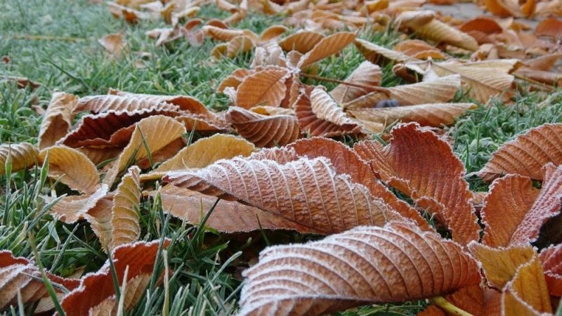 Sivas’ta hissedilen sıcaklık eksi 7 dereceyi gördü
