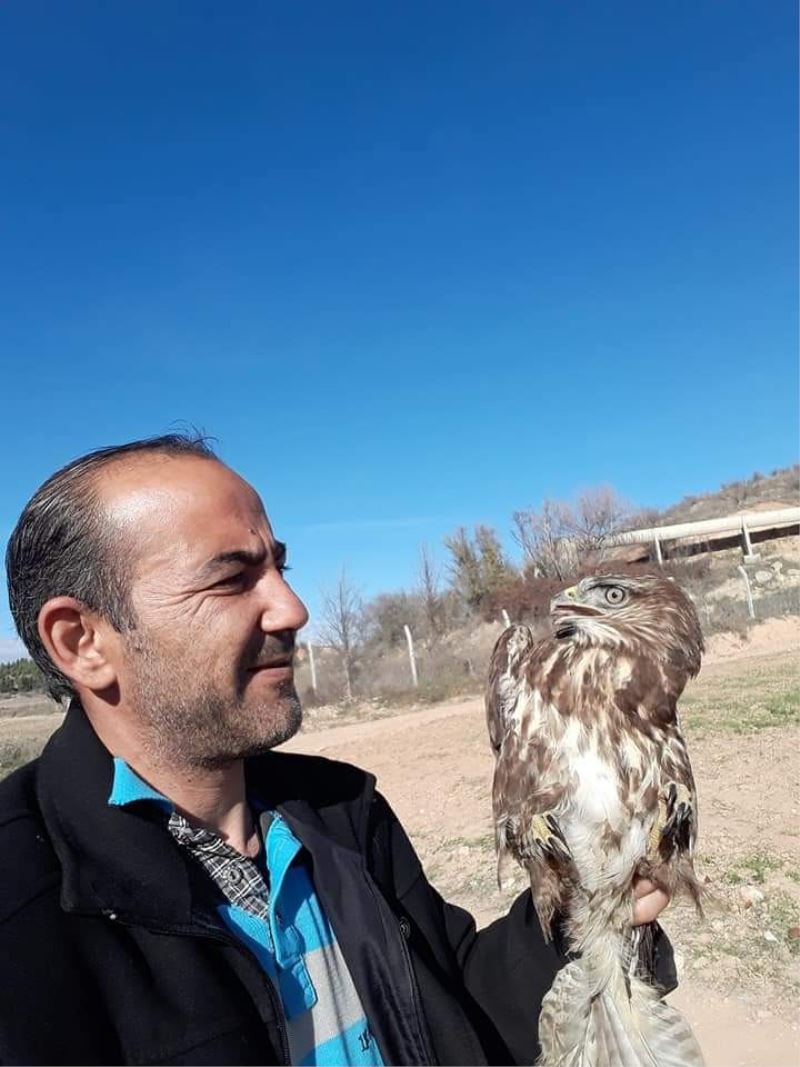 Yolda bulduğu yaralı şahini veterinere götürdü
