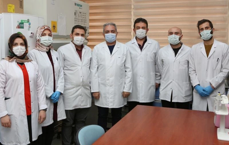 İnsan sağlığı için zararlı olmayan yeni bakteri cinsi ve türü keşfedildi
