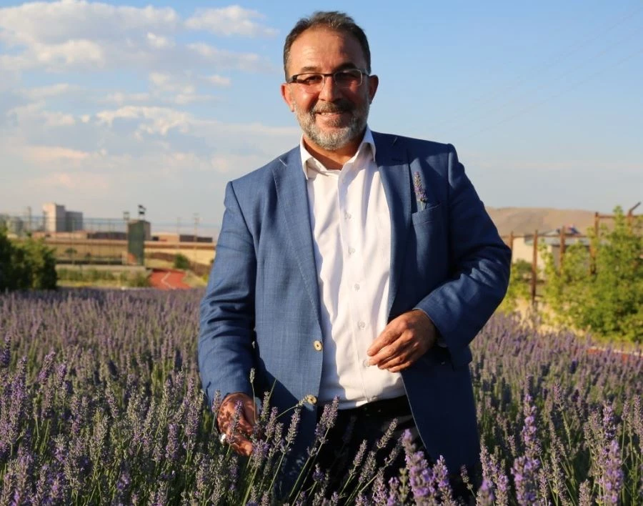 AFŞİN LAVANTASI DÜNYAYA AÇILACAK