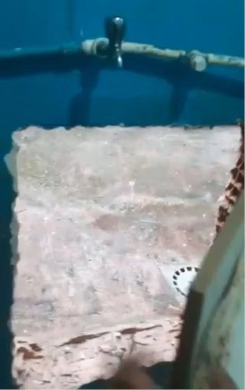 Önce duvarı sonra pandemi yasaklarını deldiler, polise suçüstü yakalandılar
