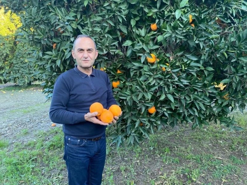 TİGEM’in narenciye ürünleri yurt dışına ihraç ediliyor
