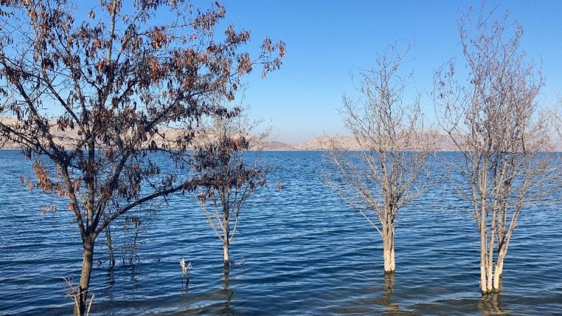 Her yerde baraj ve göllerde su seviyesi düştü, deprem merkezindeki o göldeki  yükselme dikkat çekti
